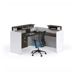 Professional Modern Reception for modern office